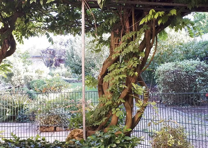 度假居 Lenz 平德里希